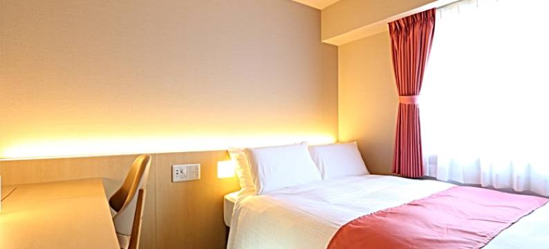 WING国际酒店-⾦泽站前(Hotel Wing International Premium Kanazawa Ekimae)图片