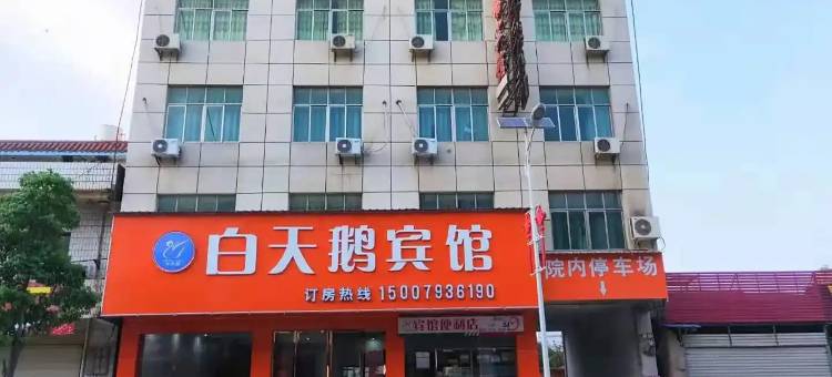 白天鹅宾馆图片