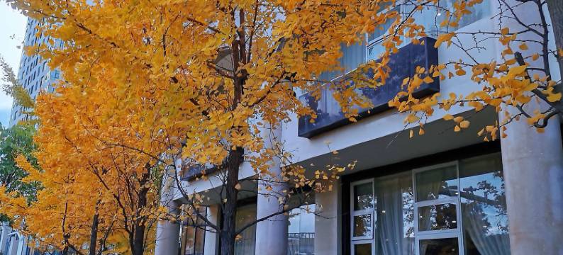 新达酒店(大理高铁站洱海公园店)图片