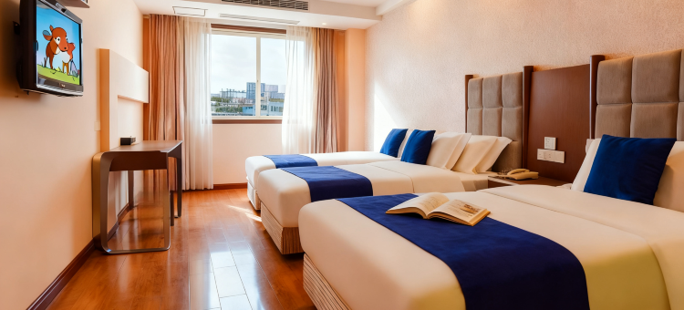 铂丽酒店(衡阳火车站广场店)图片