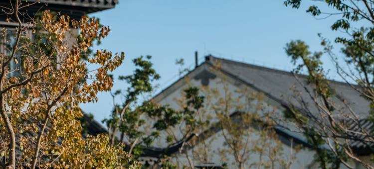 安吉二月花汤泉度假酒店图片