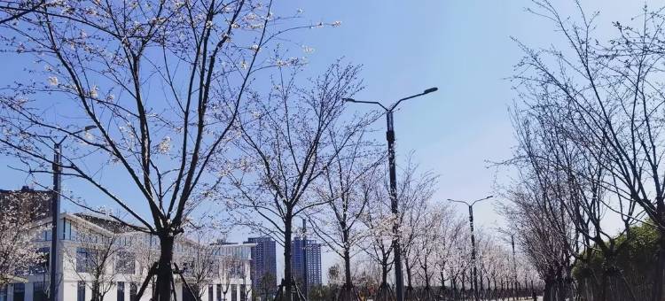 有家超市宾馆图片