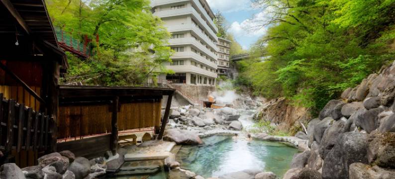 利夫马克斯度假酒店 川俣温泉(Hotel Livemax Resort Kawamata Onsen)图片