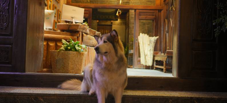 阳光丽江  Yangguang lijiang Courtyard(古城南门店)图片