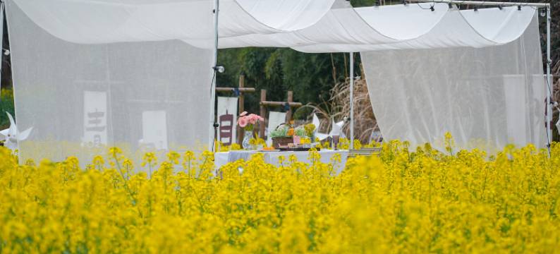 婺源·云上青野·Villa设计师美宿图片