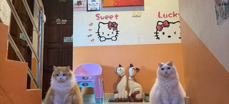 普吉岛宜家小驻(Phuket So Sweet Home)图片