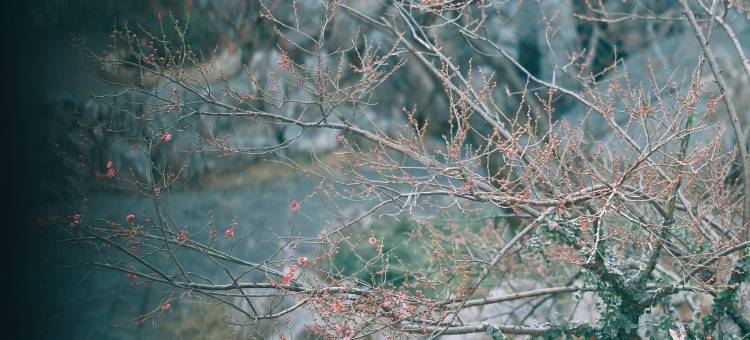 雪晴集·山市晴岚度假民宿(长沙洋湖湿地公园店)图片