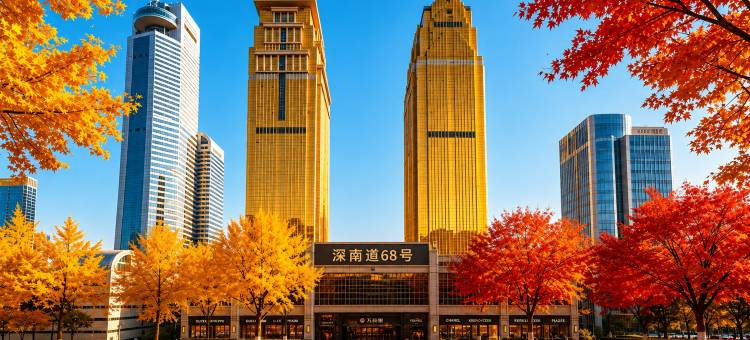 深南道68号丨Skyview Panoramic(深圳罗湖口岸店)图片