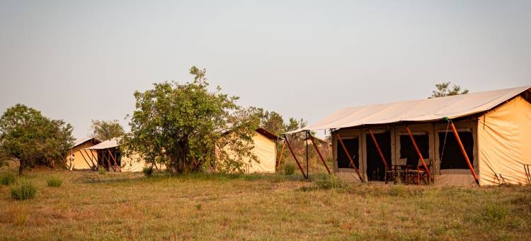 葛努玛拉河营地酒店(Gnu Mara River Camp)图片