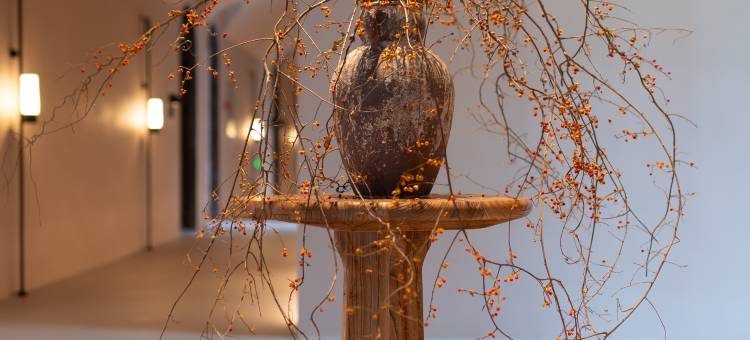 山禾里·侘寂自然风民宿(澄海店)图片