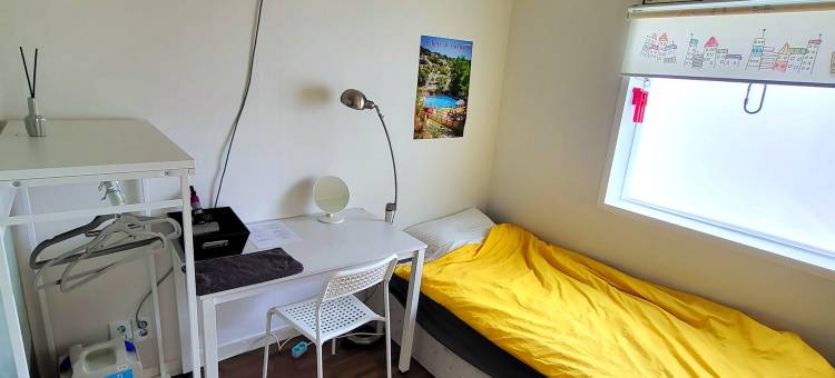 24号旅馆新村大道店(24 Guesthouse Sinchon Avenue)图片