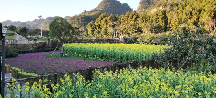 青木·雅居花园民宿(兴义万峰林景区店)图片