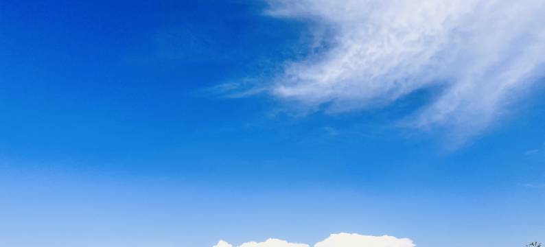 中卫金色田园农家图片