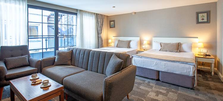 塔克西姆阿斯顿酒店(Aston Hotel Taksim)图片