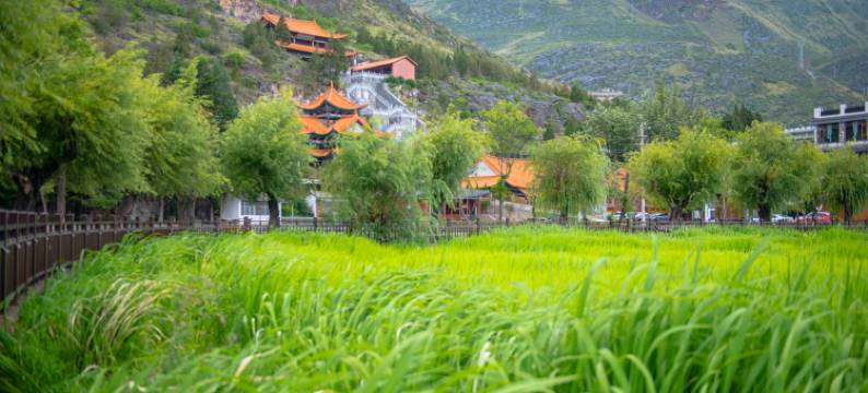 草海情民宿馆图片