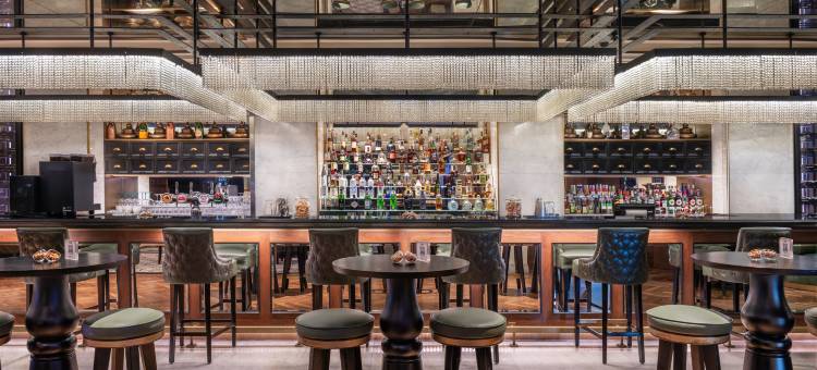 迪拜H酒店(The H Dubai)图片