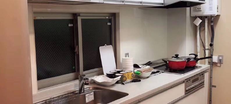 Sakura Dance 3图片