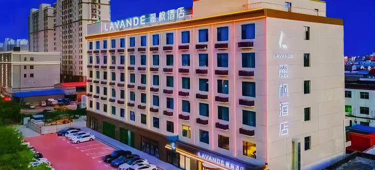 麗枫酒店(衡水武强县泰华广场店)图片