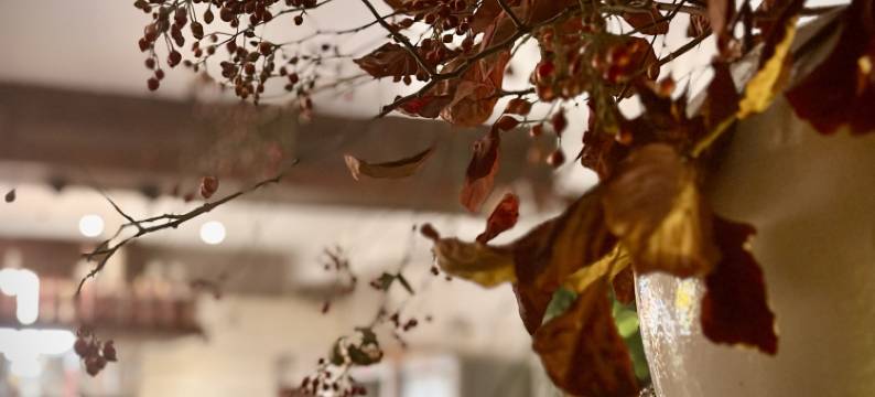 北平花园·北平小院四合院酒店(北京西单金融街店)图片