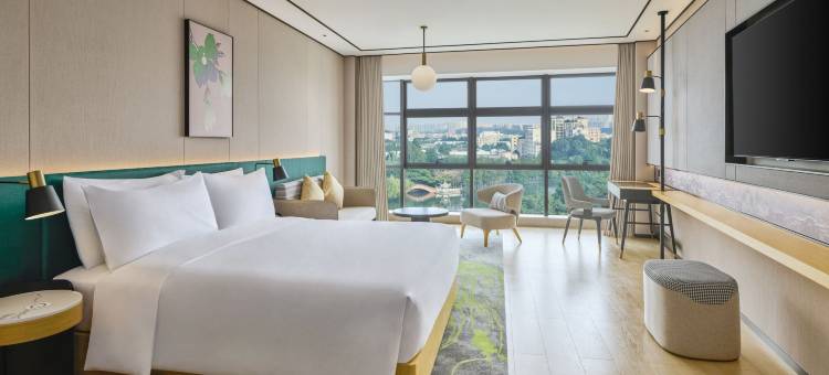 佛山里水希尔顿花园酒店图片