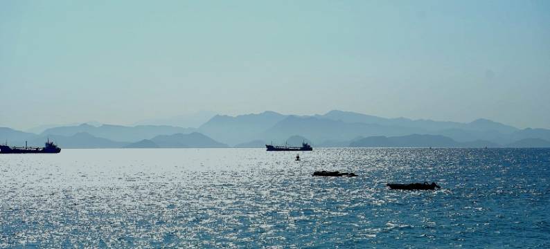 深圳官湖翠鸟·屿海海景民宿图片