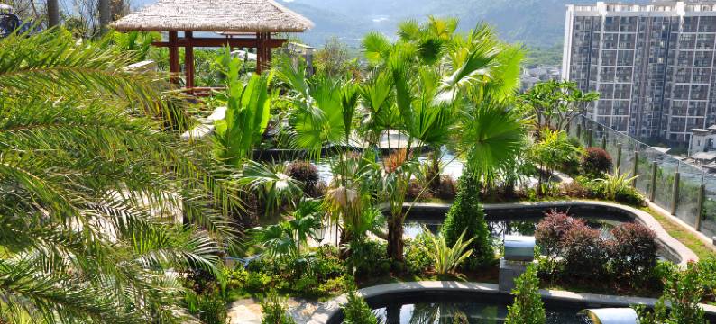 广州从化温泉之上设计师酒店图片