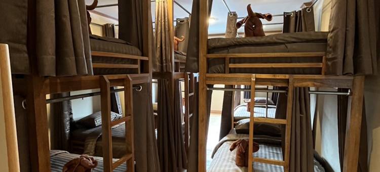 天明旅舍(Tian Ming Hostel)图片