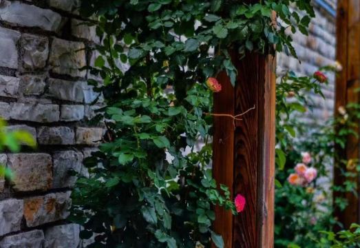 Qiumingju Guesthouse Hotel Overview