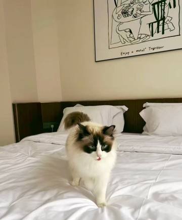 爪子酒店(福师大旗山校区南门店)图片