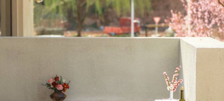 商洛东坡院子图片