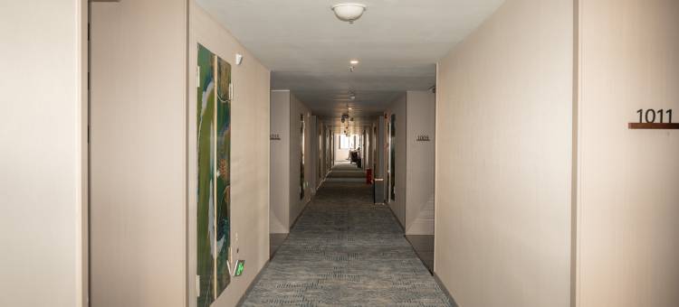 汇锦酒店(蚌埠高铁南站店)图片