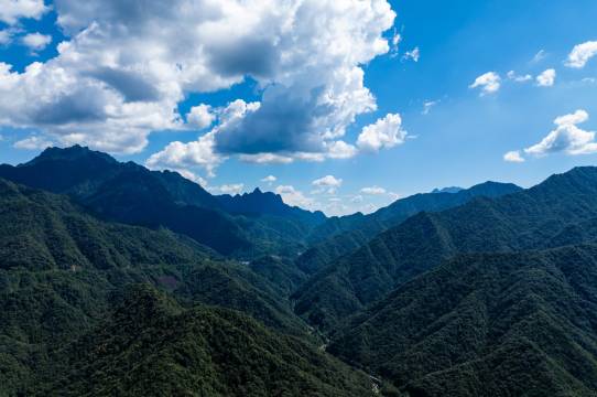 溪月·360°山谷森林泳池·庭院美宿(三清山旅游公路店)图片