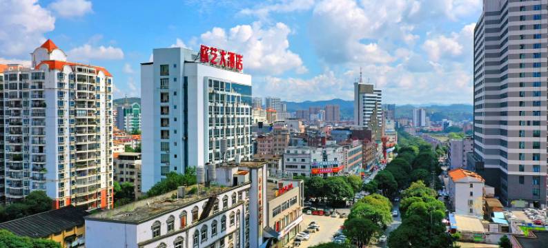 欧艺大酒店(右江民族医学院附属医院店)图片