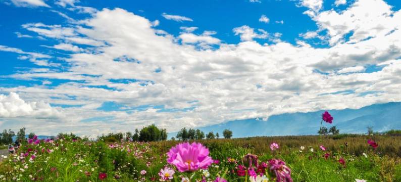 爱回来·暖居民宿｜SereneHaven Guesthouse(大理古城玉洱路店)图片