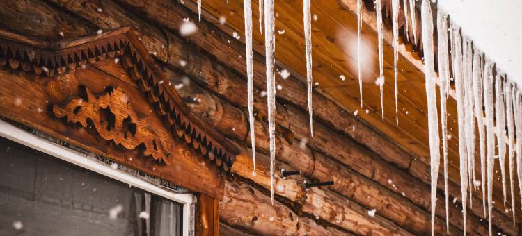 大列巴花庄园(额尔古纳恩和俄罗斯民族乡店)图片