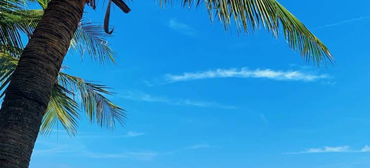 瑞吉民宿(湛江万达广场店)图片