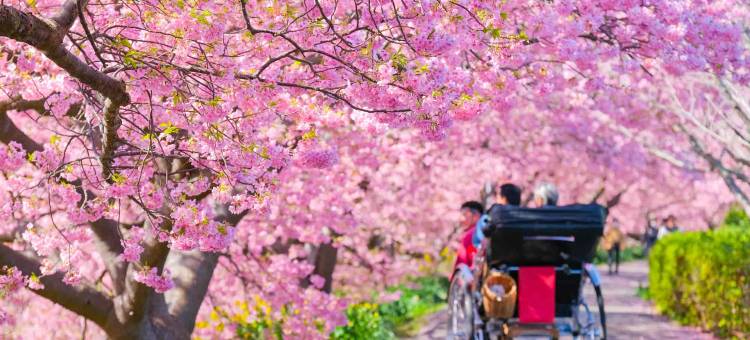 伊豆今井滨东急酒店(Izu Imaihama Tokyu Hotel)图片