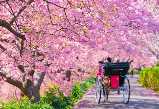 Izu Imaihama Tokyu HotelHotel Overview