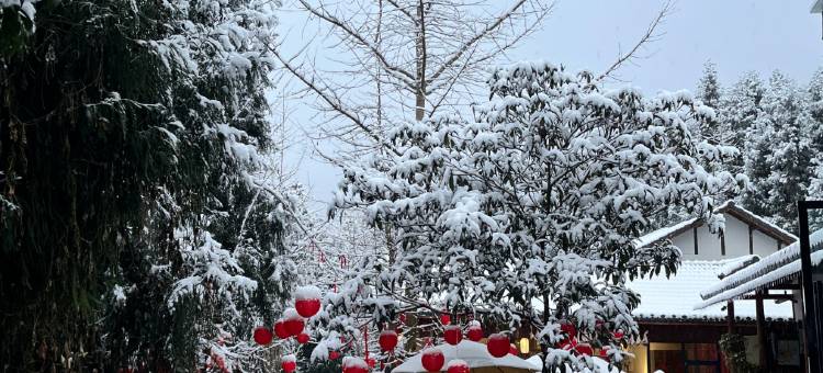 什邡十里松涧汤池民宿图片