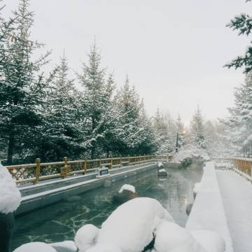 长白山万达喜来登度假酒店图片