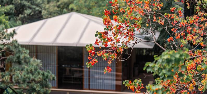 木莲庄度假酒店(广州增城荔湖店)图片