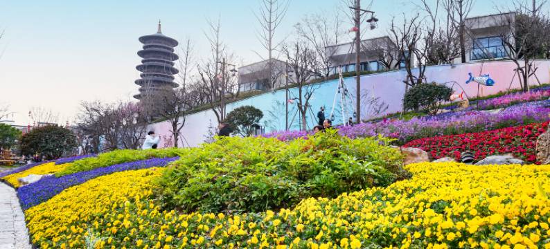 婺女洲度假区徽市街艺术酒店图片