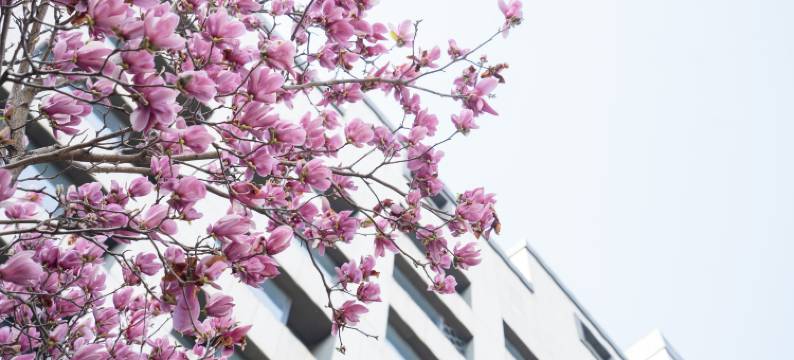 黄山昱城皇冠假日酒店图片