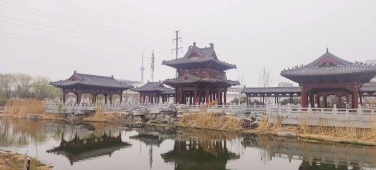 静心雅苑·Calm Garden·雅致闲居度假民宿(清明上河园店)图片