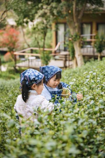 杭州开元森泊度假乐园图片