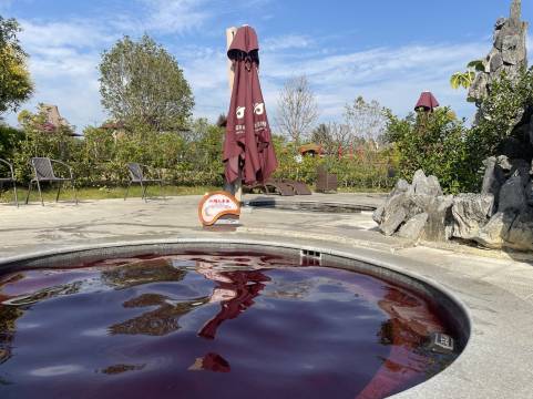 新兴翔顺金水台温泉小镇图片