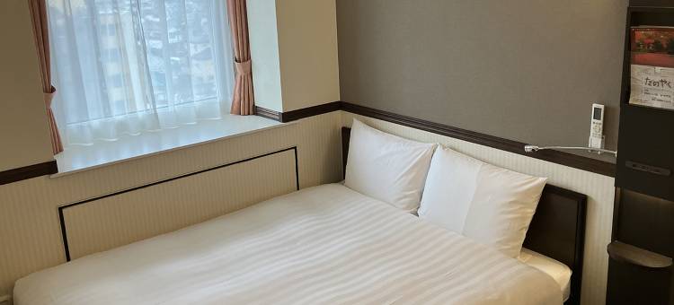 东横 INN 西川口站(Toyoko Inn Nishi-Kawaguchi-Eki)图片