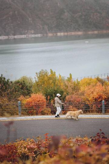 中信谷泉酒店图片