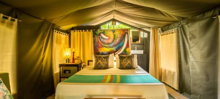 威尔帕图大型游戏酒店-生态团队(Big Game - Wilpattu by Eco Team)图片