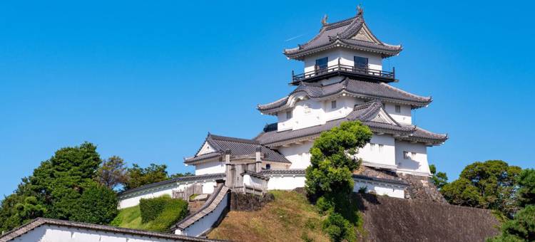 东横INN-挂川站新干线南口(Toyoko Inn Kakegawa Eki Shinkansen Minami Guchi)图片